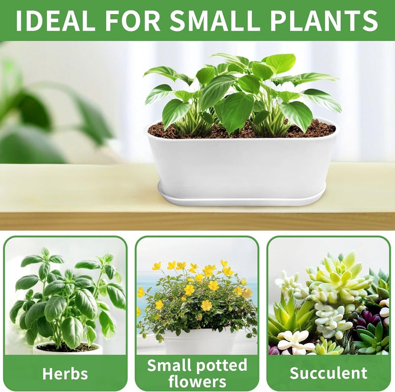 Torfican 5 Set Window Herb Planter Box Rectangular,8.5x3.5 Inch White Plastic Planters with Multiple Drainage Holes and Trays,Indoor Succulent Cactus Mint Flower Pot for Windowsill,Garden Balcony - Image 4